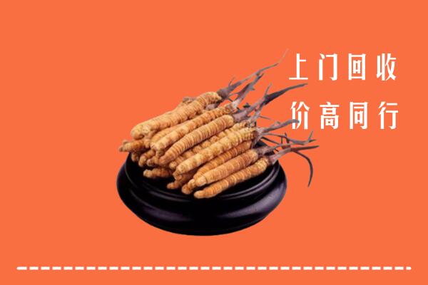 高价求购：郴州市北湖区回收散虫草