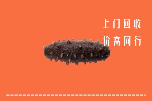 高价求购：郴州市北湖区回收海参