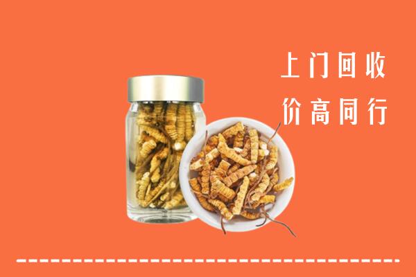 郴州市北湖区回收冬虫夏草