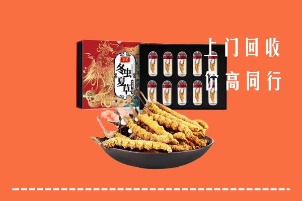 郴州市北湖区回收虫草